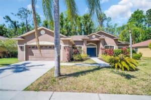 1135 WYNDHAM LAKES DRIVE, ODESSA, FL 33556 Sold 10/09/25