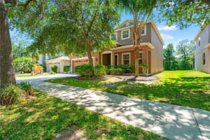 10617 Lucaya Dr, TAMPA