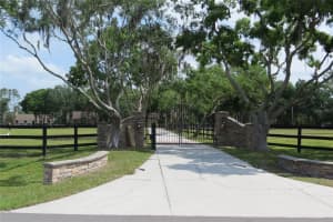 11521 INNFIELDS DRIVE, ODESSA, FL 33556 - MLS#MFRTB8376516