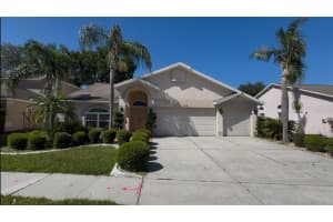11216 Longbrooke Dr, RIVERVIEW