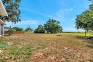 890 BUENA VISTA DRIVE, LAKE ALFRED, FL 33850 - MLS#MFRTB8376530