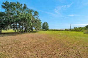 890 BUENA VISTA DRIVE, LAKE ALFRED, FL 33850 - MLS#MFRTB8376530