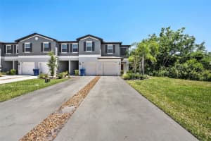 23378 Papyrus Way, LUTZ
