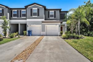 23378 PAPYRUS WAY, LUTZ, FL 33549 - MLS#MFRTB8376542