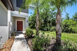23378 PAPYRUS WAY, LUTZ, FL 33549 - MLS#MFRTB8376542
