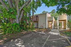 134 SYCAMORE LANE, OLDSMAR, FL 34677 - MLS#MFRTB8376554