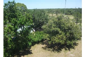 200 BETTY LANE, CLEARWATER, FL 33755 - MLS#MFRTB8376592