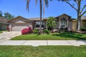 18533 AVOCET DRIVE, LUTZ, FL 33558 Sold 08/05/25