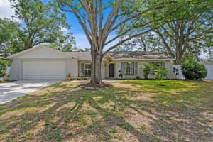 6712 Jennifer Dr, TEMPLE TERRACE