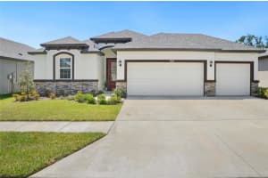1043 Davis Heather Cir, SEFFNER
