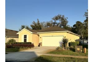 11248 MOLLYMAWK COURT, NEW PORT RICHEY, FL 34654 - MLS#MFRTB8376653