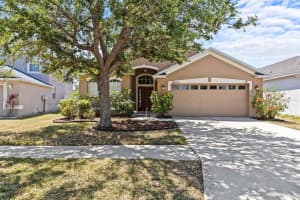 8704 SANDY PLAINS DRIVE, RIVERVIEW, FL 33578 Sold 07/25/25