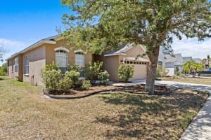 8704 SANDY PLAINS DRIVE, RIVERVIEW, FL 33578 Sold 07/25/25