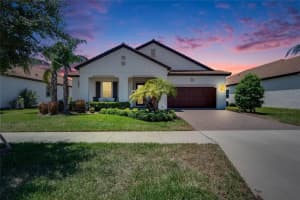 16809 BANNER SHELL PLACE, WIMAUMA, FL 33598 Sold 06/06/25