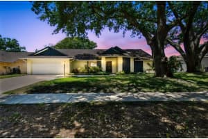 3041 AVALON TERRACE DRIVE, VALRICO, FL 33596 Sold 07/31/25