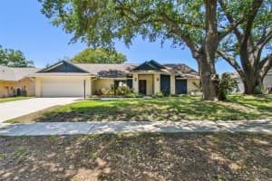 3041 AVALON TERRACE DRIVE, VALRICO, FL 33596 Sold 07/31/25