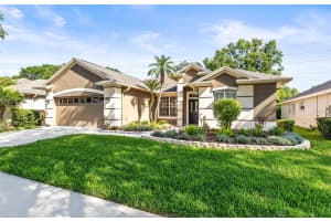 3119 BENT CREEK DRIVE, VALRICO, FL 33596 - MLS#MFRTB8376751