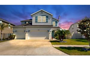 11625 TETRAFIN DRIVE, RIVERVIEW, FL 33579 - MLS#MFRTB8376800