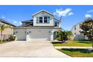 11625 TETRAFIN DRIVE, RIVERVIEW, FL 33579 - MLS#MFRTB8376800