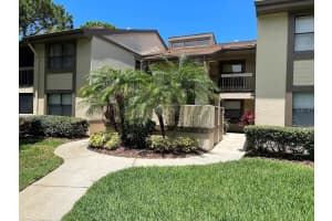 333 Woodlake Wynde, OLDSMAR