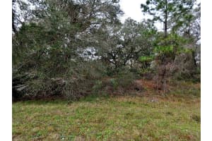 BANGER LN, NORTH PORT, FL 34291 - MLS#MFRTB8376979