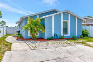 9206 WOOD LAKE BOULEVARD, TAMPA, FL 33615 Sold 06/17/25