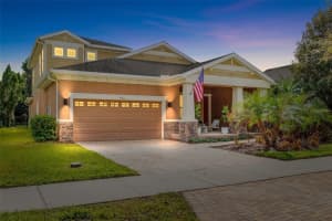 5310 Sanderling Ridge Dr, LITHIA