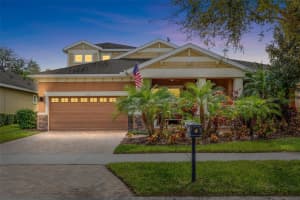 5310 SANDERLING RIDGE DRIVE, LITHIA, FL 33547 - MLS#MFRTB8377025