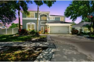 19135 DOVE CREEK DRIVE, TAMPA, FL 33647 Sold 06/06/25