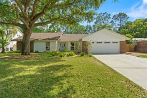 11709 ROLLING OAKS LANE, TAMPA, FL 33618 Sold 06/10/25