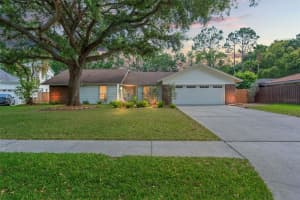 11709 ROLLING OAKS LANE, TAMPA, FL 33618 Sold 06/10/25