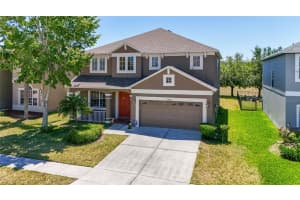 30526 Annadale Dr, WESLEY CHAPEL