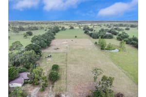 16037 S COUNTY ROAD 39, LITHIA, FL 33547 - MLS#MFRTB8377134