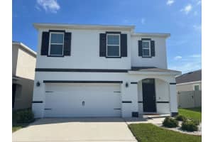 32699 Dashel Palm Ln, WESLEY CHAPEL
