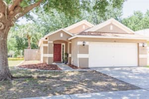 302 Summer Sails Dr, VALRICO