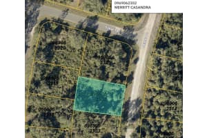 DELMAR DR, NORTH PORT, FL 34291 - MLS#MFRTB8377183