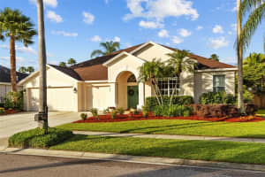 11906 MIDDLEBURY DRIVE, TAMPA, FL 33626 Sold 07/31/25