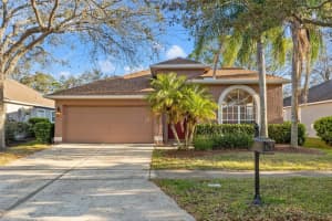 11808 Lancashire Dr, TAMPA