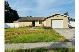 13924 Pathfinder Dr, TAMPA