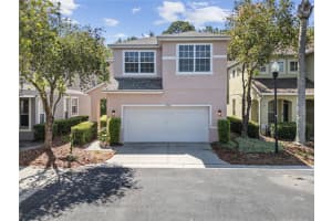 10503 Dotham Ct, TAMPA