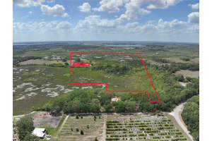 391 ARBUTHNOT LANE, LAKE ALFRED, FL 33850 - MLS#MFRTB8377388