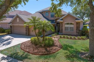 10141 DEERCLIFF DRIVE, TAMPA, FL 33647 Sold 06/13/25