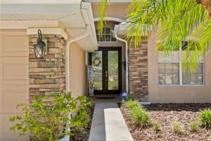 10141 DEERCLIFF DRIVE, TAMPA, FL 33647 Sold 06/13/25