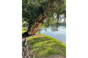 782 VILLAGE LAKE TERRACE, ST PETERSBURG, FL 33716 - MLS#MFRTB8377452