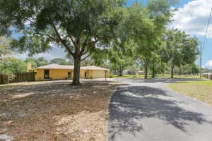 11630 OSCEOLA DRIVE, NEW PORT RICHEY, FL 34654 Sold 06/09/25