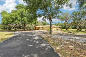 11630 OSCEOLA DRIVE, NEW PORT RICHEY, FL 34654 Sold 06/09/25
