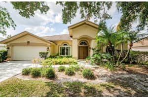 9229 DAYFLOWER DRIVE, TAMPA, FL 33647 Sold 07/11/25
