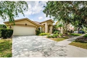 9229 DAYFLOWER DRIVE, TAMPA, FL 33647 Sold 07/11/25