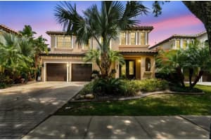 20347 Chestnut Grove Dr, TAMPA
