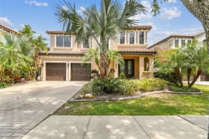 20347 CHESTNUT GROVE DRIVE, TAMPA, FL 33647 - MLS#MFRTB8377524